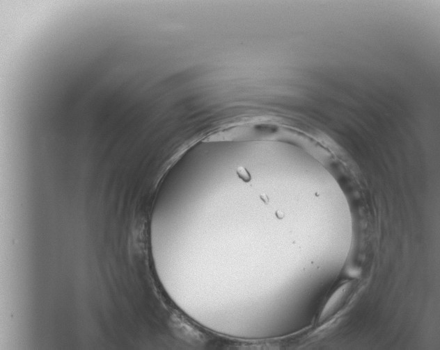 X0000066941001200604142019