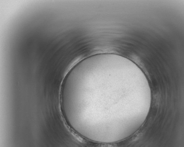 X0000066941002200604142019