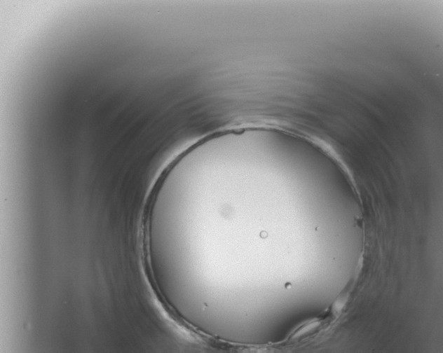 X0000066941003200604142019