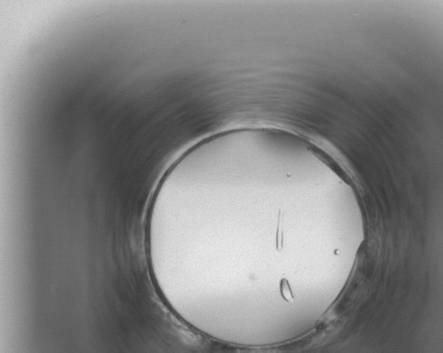 X0000066941004200604142019