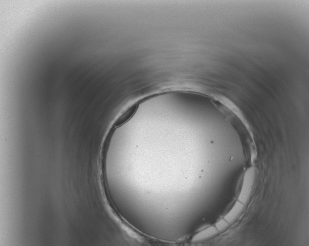 X0000066941005200604142019