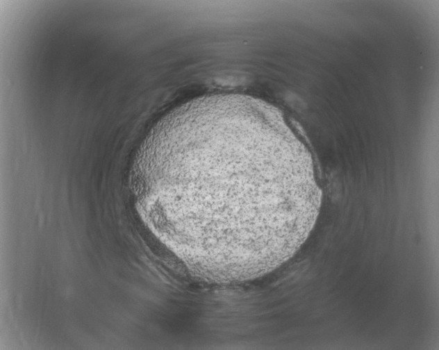 X0000066941009200604142018