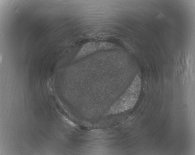 X0000066941010200604142018