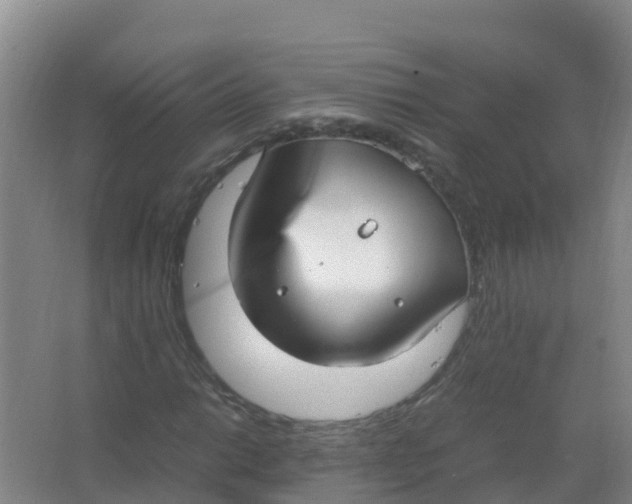 X0000066941014200604142018