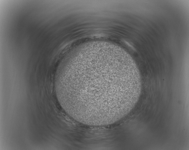 X0000066941015200604142018