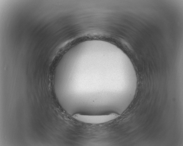 X0000066941016200604142018