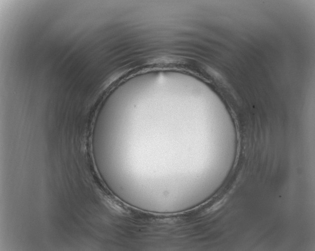 X0000066941017200604142018