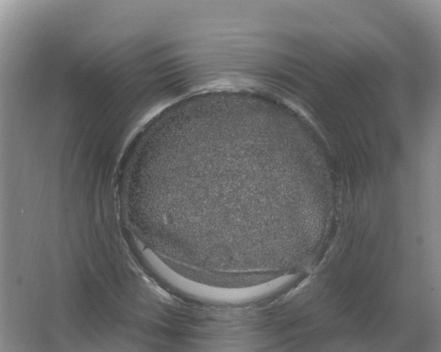 X0000066941018200604142018