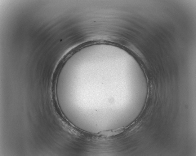 X0000066941020200604142018