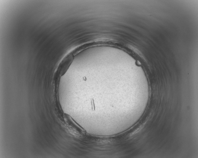 X0000066941021200604142018