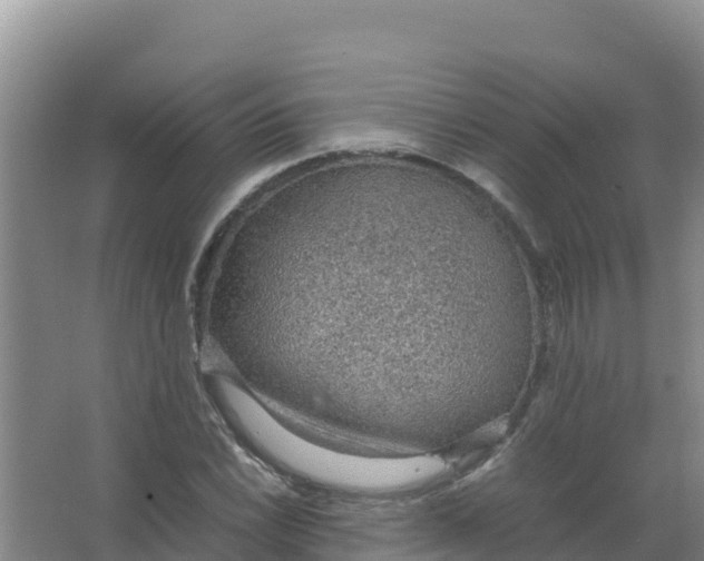 X0000066941022200604142018