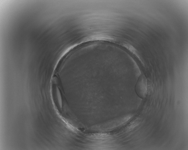 X0000066941024200604142018