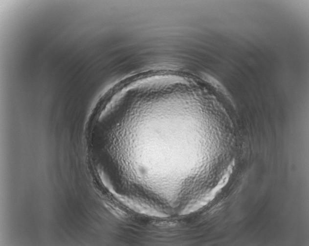 X0000066941027200604142018