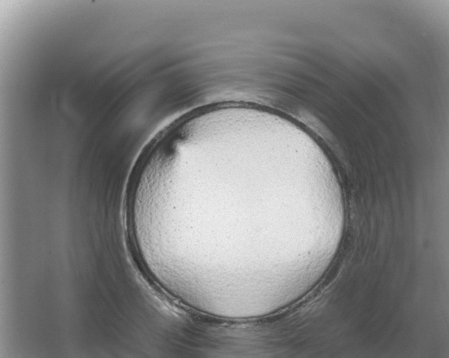 X0000066941028200604142018