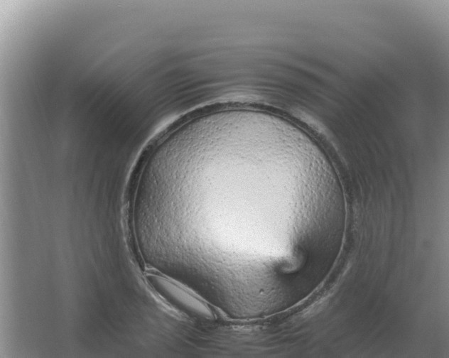 X0000066941029200604142018