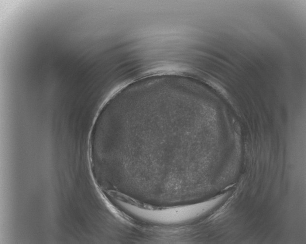 X0000066941034200604142018