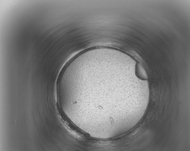 X0000066941036200604142018