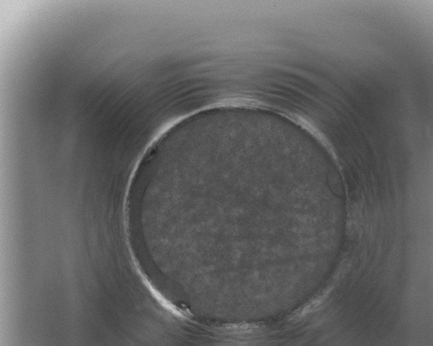 X0000066941037200604142018