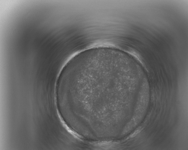 X0000066941038200604142018