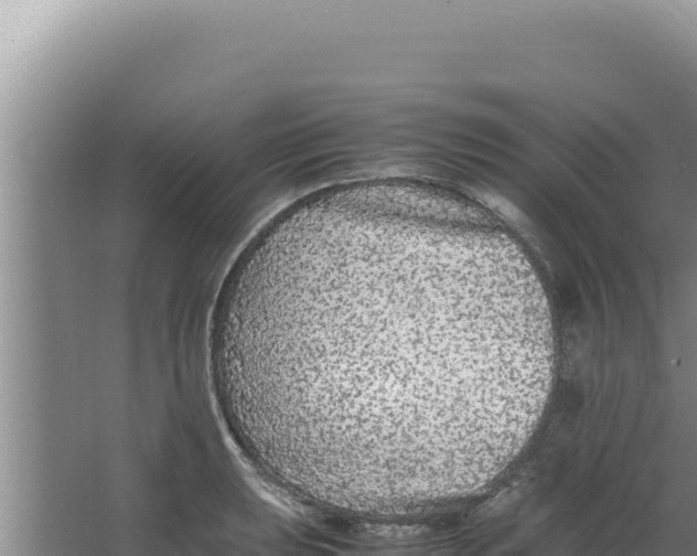 X0000066941039200604142018