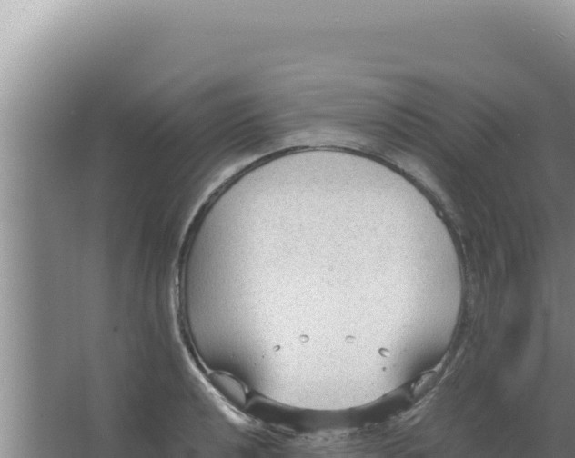 X0000066941040200604142018