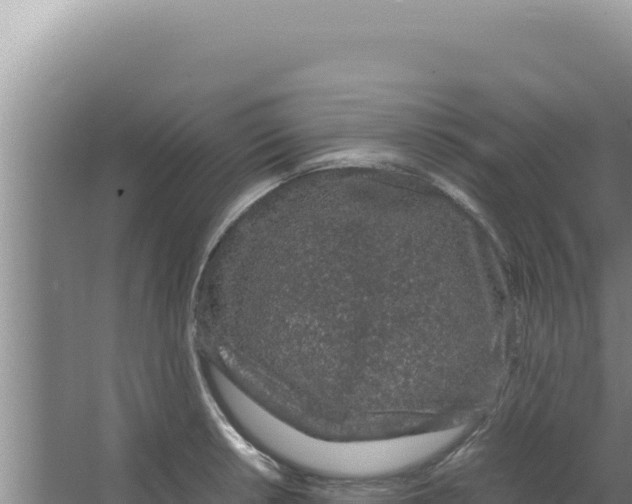 X0000066941042200604142018