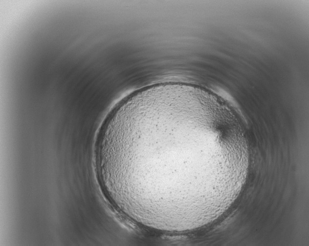 X0000066941043200604142018