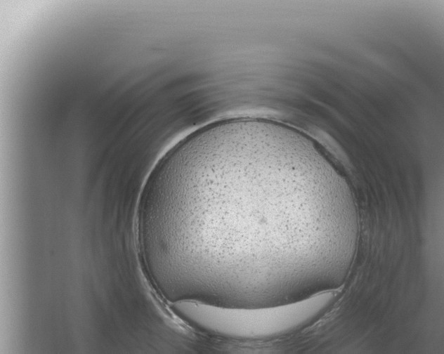 X0000066941044200604142018