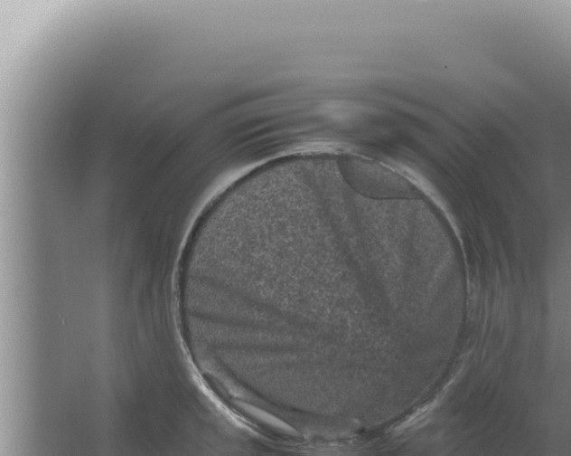 X0000066941045200604142018