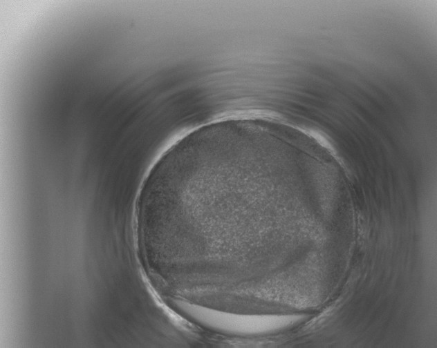 X0000066941046200604142018