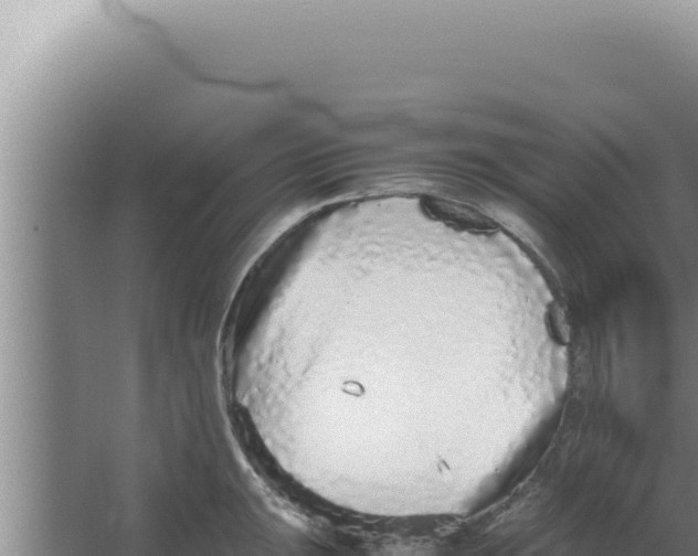 X0000066941047200604142018