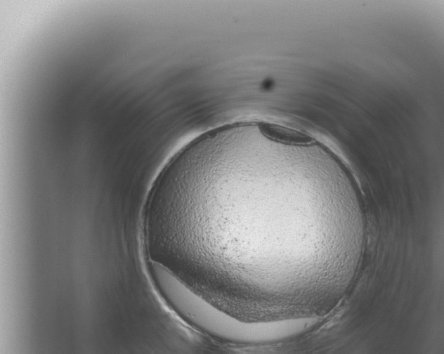 X0000066941048200604142018