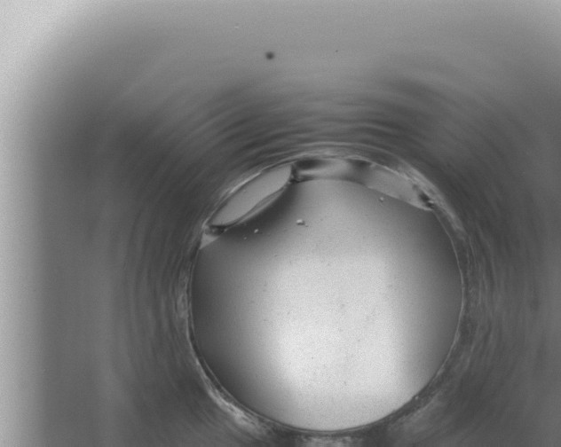 X0000066941049200604142018