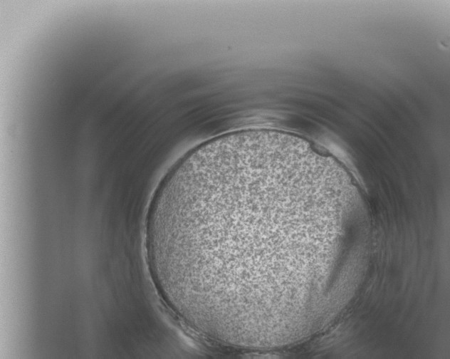 X0000066941051200604142018