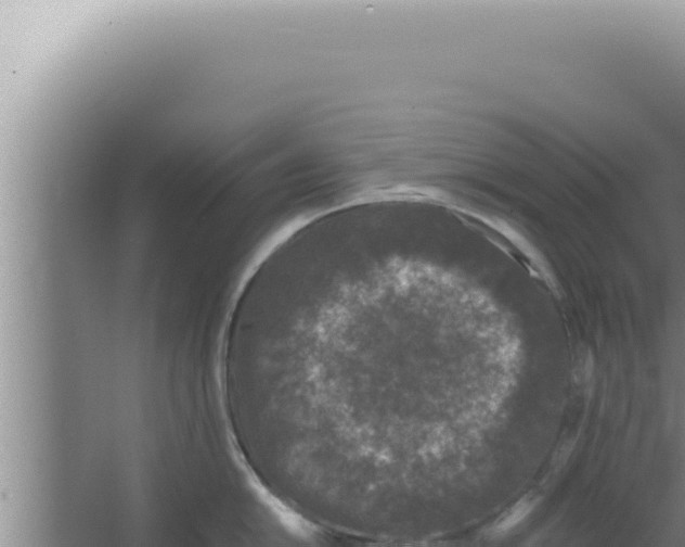 X0000066941054200604142018