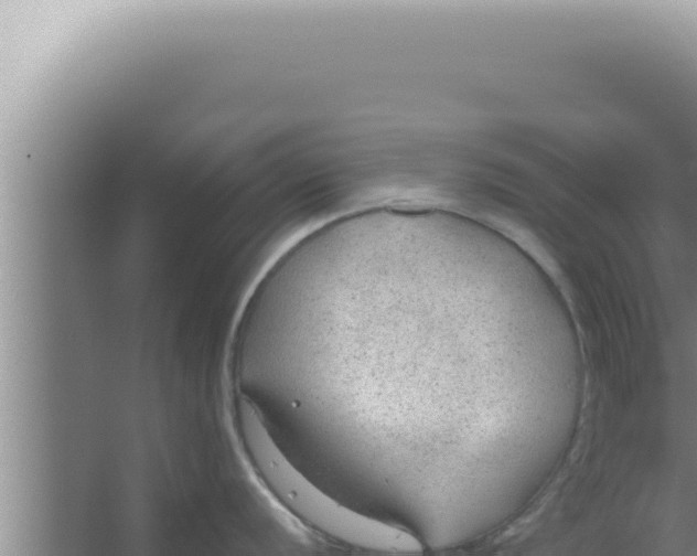 X0000066941056200604142019