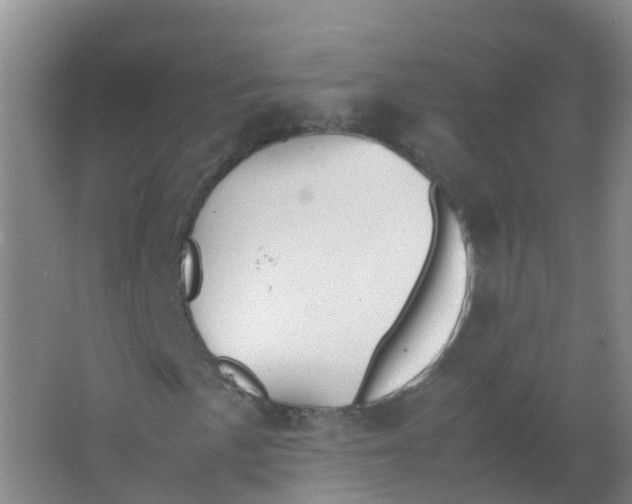 X0000066941057200604142018