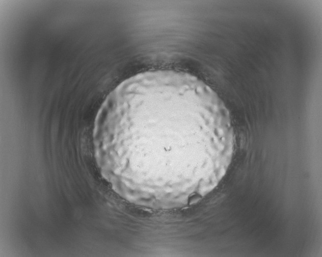 X0000066941059200604142018