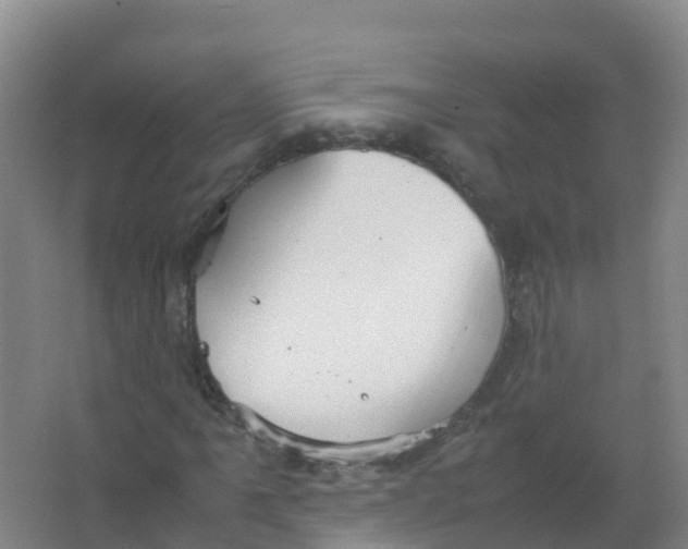 X0000066941061200604142018