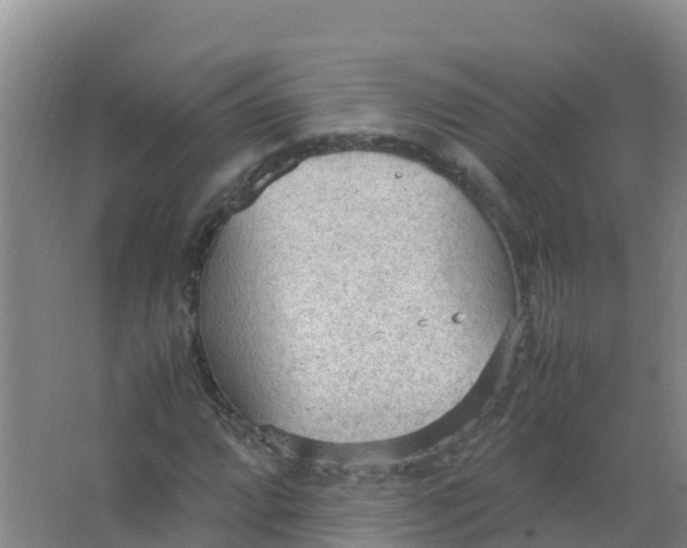 X0000066941064200604142018