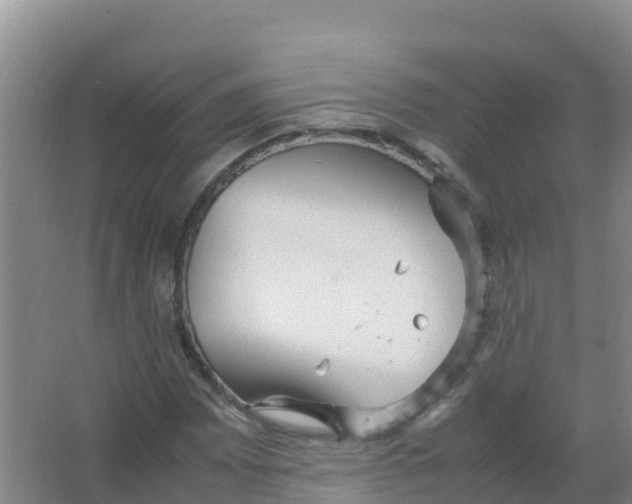 X0000066941065200604142018