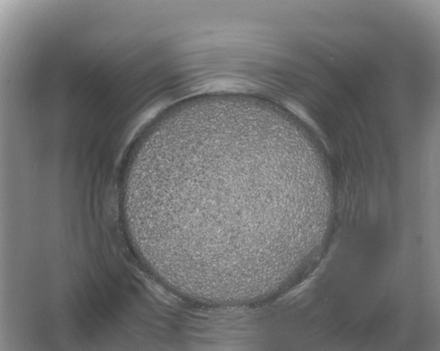 X0000066941067200604142018