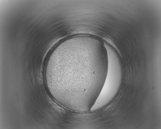 X0000066941068200604142018