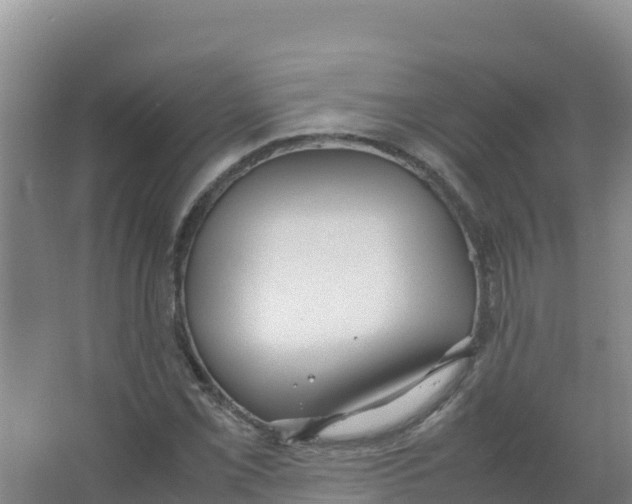 X0000066941069200604142018