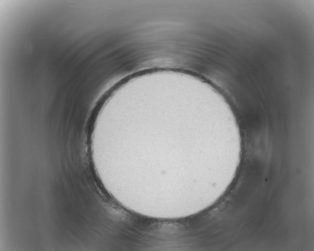 X0000066941070200604142018