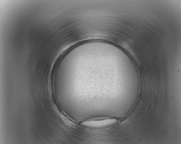 X0000066941072200604142017