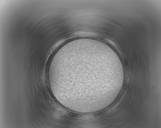 X0000066941074200604142017