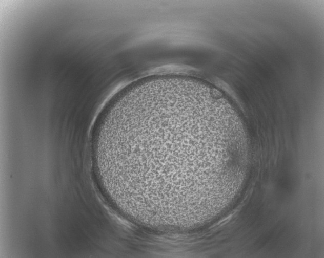 X0000066941075200604142017