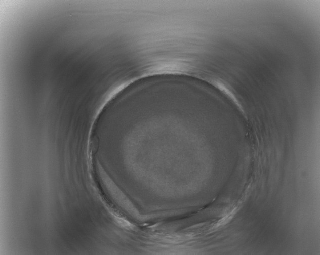 X0000066941077200604142017