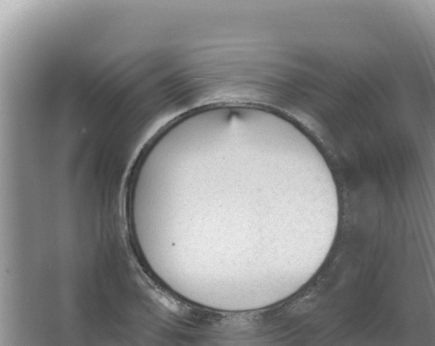 X0000066941078200604142017